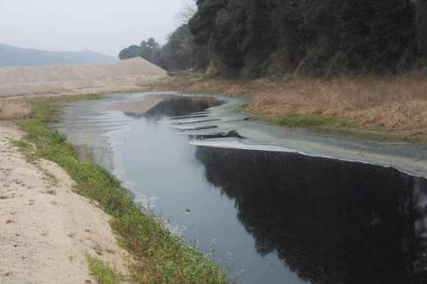 四川PAM水处理絮凝剂处理效果怎么样